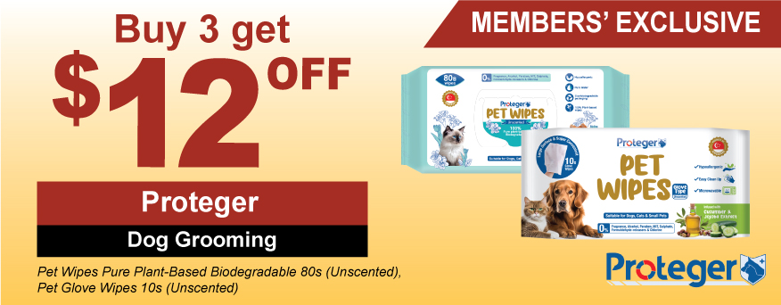 Proteger Dog Grooming Promo